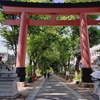 出没!こたまチック天国!!【大宮氷川神社】へ《もしも徳川家康が総理大臣になったら》の聖地巡礼を兼ねて訪問だ〜✨
