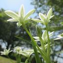 佐山みはるのブログ