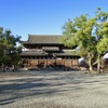 京都紅葉便り━洛南　城南宮・東寺編　其之四━