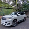 トヨタ　ランドクルーザープラドの盗難です。