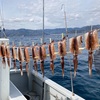 3月21日(月・祝)スルメイカ、オニカサゴ