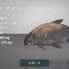 Fishing Planet：ローンスター湖-怪物魚マッドアイバッファロー