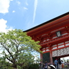 【八坂神社〜清水寺】真夏の弾丸日帰り京都旅行 #3