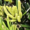花が咲くなんて思ってなかった…けどそんなわけないよね