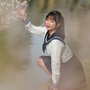 桜花爛漫  惜しむ春❣️ なるはちゃん その9 ─ リクエスト撮影 2024.4.11 松川周辺 ─