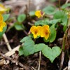 ２０２６年３月２０日（金）春分の日