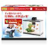 もう「難しい」とは言わせない！【テトラ 金魚・メダカのらくらくアクア L】が初心者さんの救世主だった