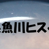 糸魚川ヒスイのルース（vol.2）：Jadeite（ジェダイト）