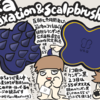 uka relaxation & scalp brush 55を買ったよ&kenzanとの比較