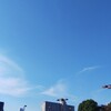 結局短パンの11月一発目🌤️