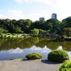 昨日、新宿御苑に行って思ったこと　2024-05-10