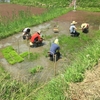 ６月１３日活動記録　～田植えイベント前日～