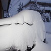 降雪一晩60cm