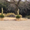小石川後楽園＊＊写真散歩＊＊1/10