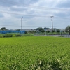 鉄へ歩く【横浜青葉】
