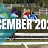 21/12/23 障害競馬日程 - December 2022 - 