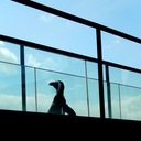 わすれてしまうひと図書館