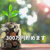 100万円じゃ足りない…300万円を貯めると決めた！