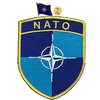 NATO 約30か国の大使 今月中旬に日本を訪問する方向で調整