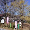 観梅ハイキング