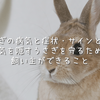 うさぎの病気と症状・サインとは？病気を隠すうさぎを守るために飼い主ができること