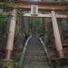 熊野古道-中辺路を歩く（その２）　【継桜王子〜熊野本宮〜湯峯王子】