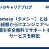 Tamesy（タメシー）とは？未経験からITエンジニアへの転職を完全無料でサポートするサービスを解説