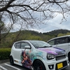 広島で痛車と桜の写真を撮るなら鏡山公園が一番