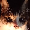 ブルーズでも歌って