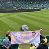 4万2千五百人の甲子園。5月14日