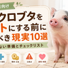 マイクロブタをペットにする前に知るべき現実10選｜後悔しない準備とチェックリスト