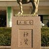 実は私、競馬ファンだったのです