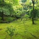 京大生えぬのブログ