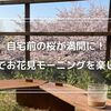 【桜満開】親子で楽しむお花見モーニングと花見風呂