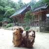 新月の山口大神宮