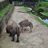 平川動物園に行って来ました vol1