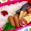 シャケ弁当。