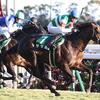 競馬初心者必見☆馬券予想🔥〜京都金杯〜西の金杯の方が妙味あり！？