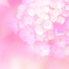 ６月の星からのMessage牡羊座～乙女座