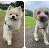 2025年6月27日🐾 今日のマヤ暦