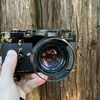 M3BPとSummicron 50mm f2 BPにモノクロフィルムで草深の森を撮ってきた