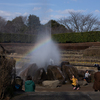 虹の噴水広場