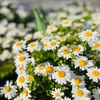 ３月２１日