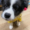 毎日が楽しい