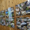 渓流釣りの写真のこと