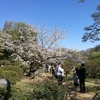 巣鴨・駒込観光後編　六義園、旧古河庭園に行ってみた