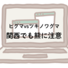 ヒグマvsツキノワグマ 関西でも油断してはいけない