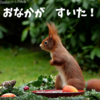 またやってしまった