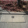 【マンホール蓋】横浜市・国土交通省①、横浜市・国土交通省②