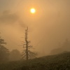 剣山へのハイク（その２）剣山山頂～下山